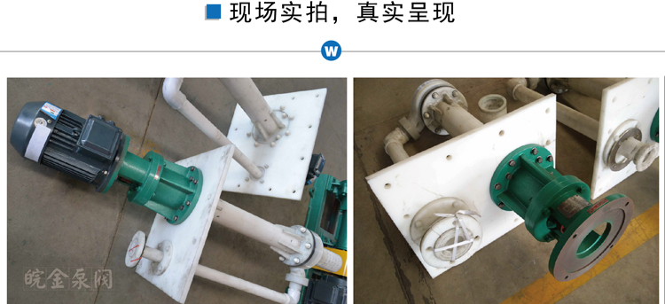 FYH氟塑料液下泵實景圖
