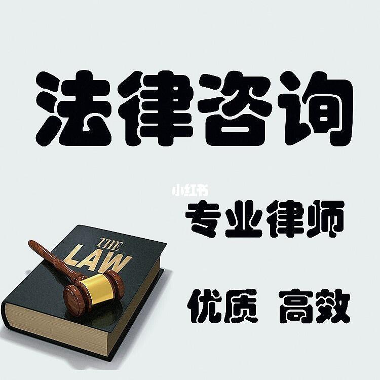 法律咨詢與訴訟代理 實(shí)用指南